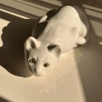 Vintage Kattenbeeld Jaren 80 2